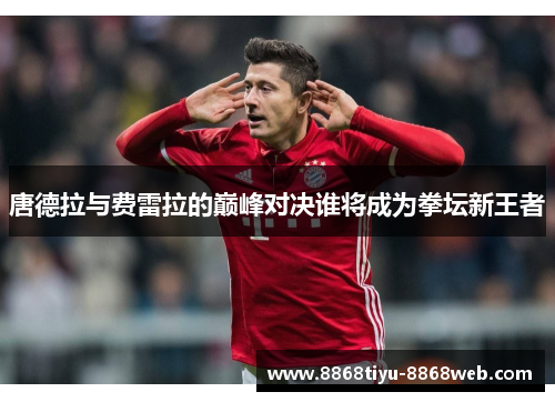 唐德拉与费雷拉的巅峰对决谁将成为拳坛新王者